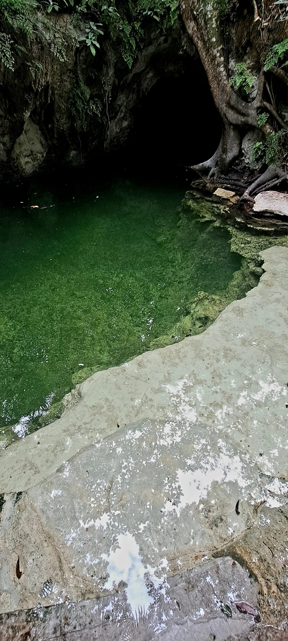 Villa en venta en Puerto Morelos, El Tapir — 14