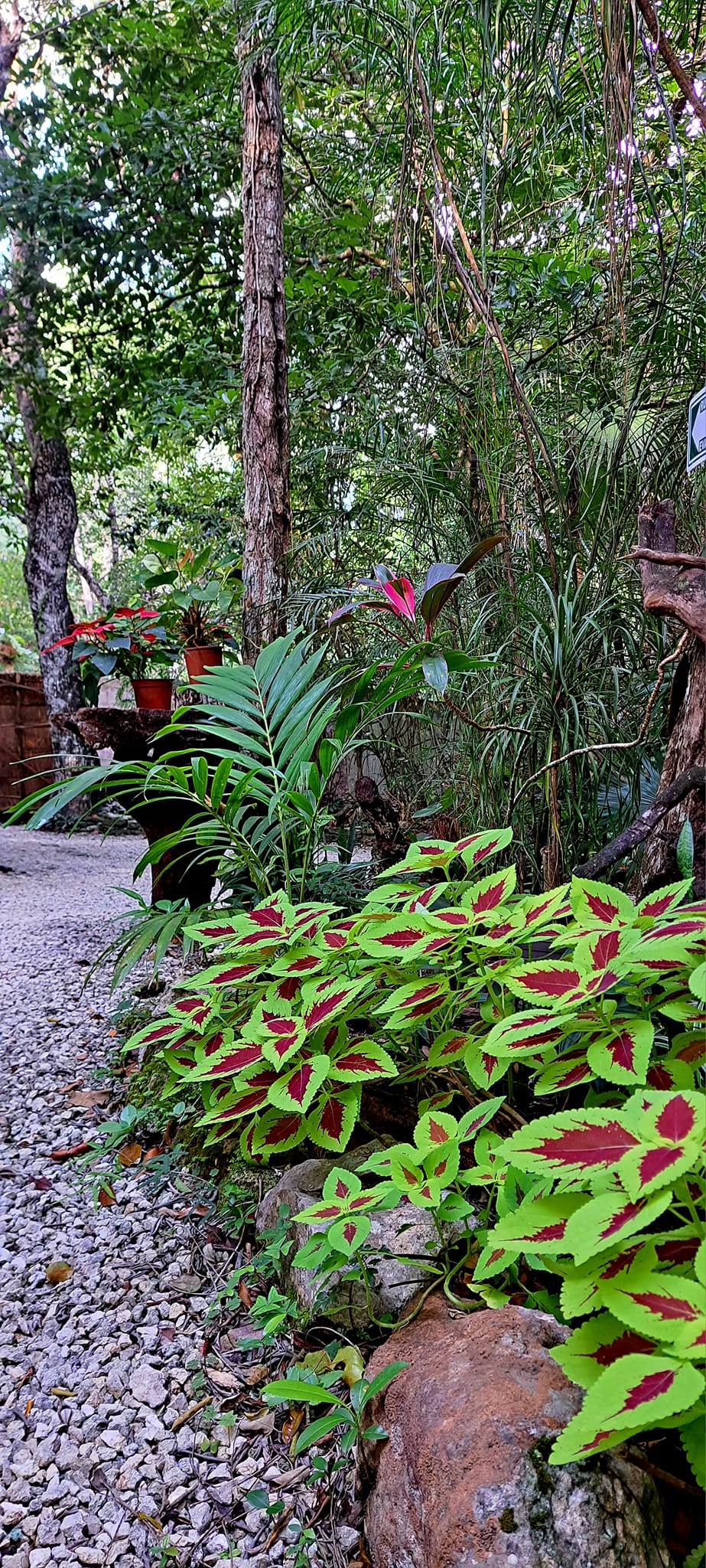 Villa en venta en Puerto Morelos, El Tapir — 23