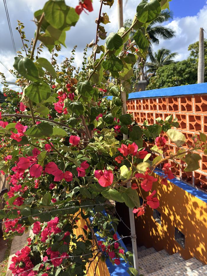 Casa en venta en Cozumel — 7