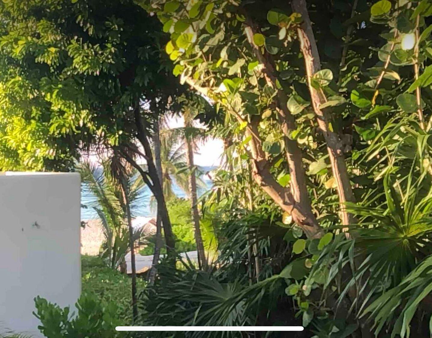 Casa en renta por noche en Playa del Carmen, Playacar Fase I — 15